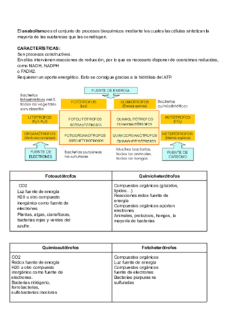 biologia-T9-Anabolismo.pdf