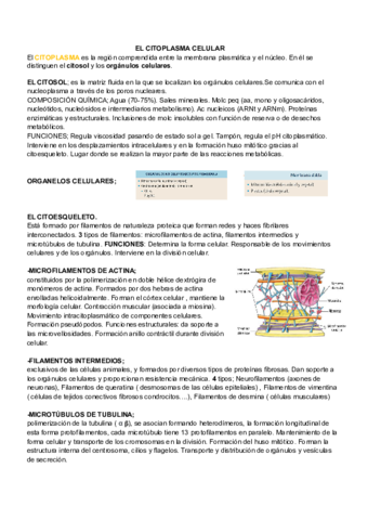 BIOLOGIA-T6-citoplasma-celular.pdf