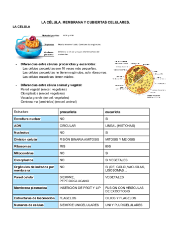 BIOLOGIA-T5-celulas-y-envolturas.pdf