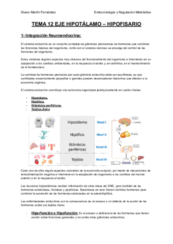 TEMA-12-EJE-HIPOTALAMO-HIPOFISARIO.pdf