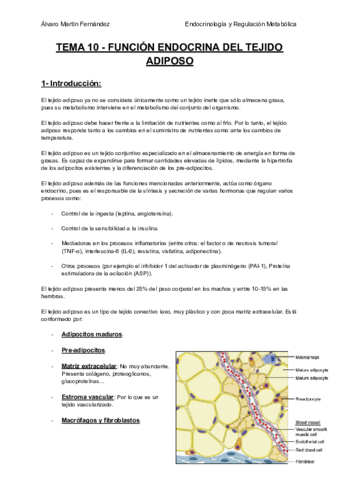 TEMA-10-FUNCION-ENDOCRINA-DEL-TEJIDO-ADIPOSO.pdf