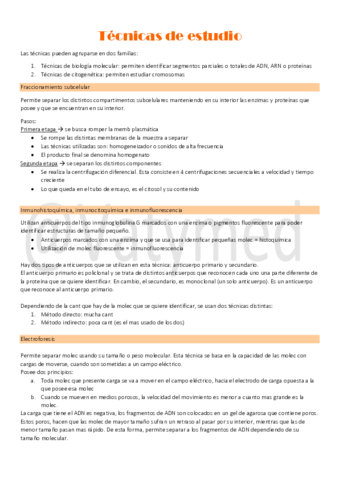 14Tecnicas-de-estudio.pdf