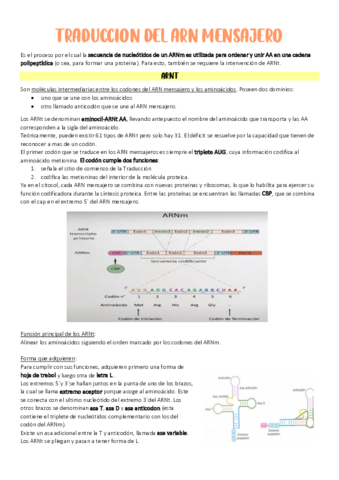 12Traduccion-del-ARN-mensajero.pdf