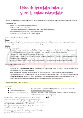 5Union-de-las-cel-entre-si-y-con-la-matriz.pdf