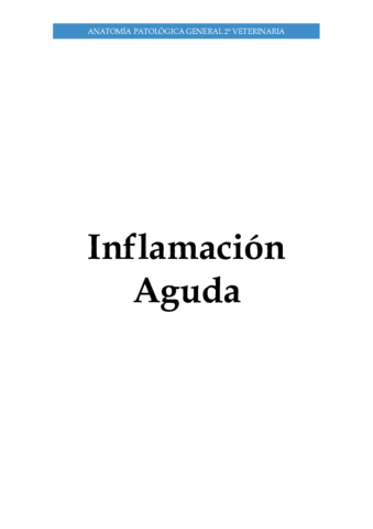 Inflamacion-II.pdf