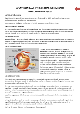 Apuntes-lenguaje-y-tecnologias-audiovisuales.pdf