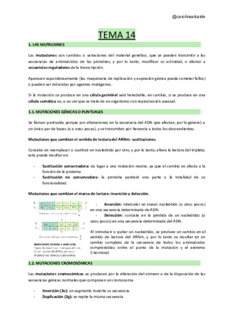 TEMA-14-Las-mutaciones.pdf
