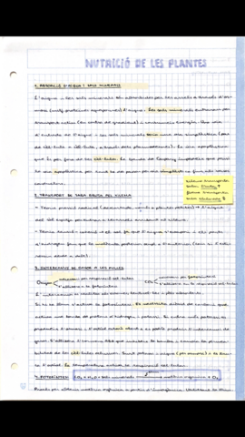 0FFE1B23-C791-4667-BC00-56D1AAE3E137.png