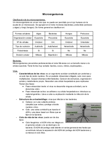 Tema-18-Microorganismos.pdf