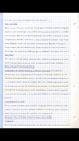 9F165A59-A8CD-4211-A9E2-0C70522EB8C7.png