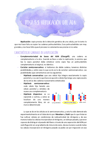 Replicacion.pdf