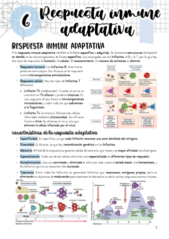 Tema-6.pdf