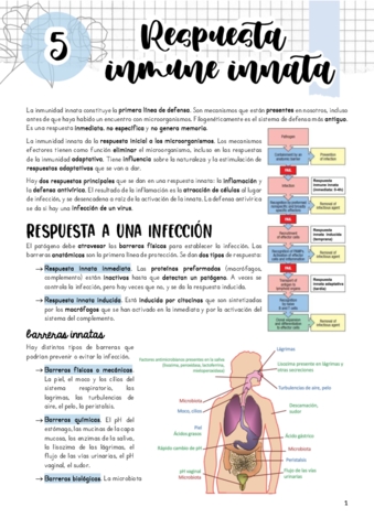 Tema-5.pdf