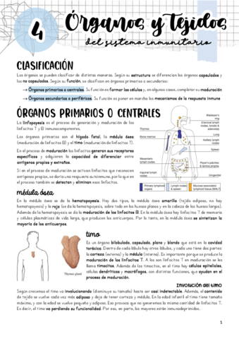 Tema-4.pdf