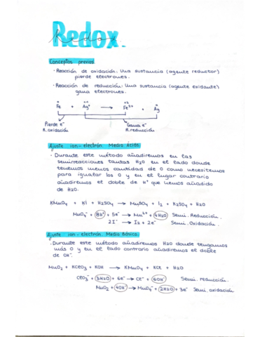 Redox.pdf