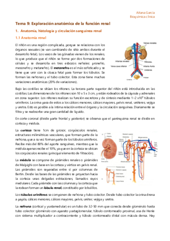 Tema-9-Exploracion-bioquimica-de-la-funcion-renal.pdf