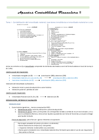 Apuntes-conta-II.pdf