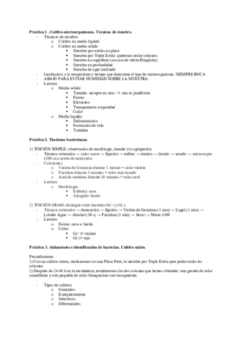 Resumen-practicas-micro.pdf