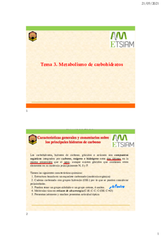 3Metabolismo-de-carbohidratos2021.pdf