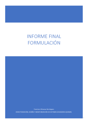 Informe-final-Formulacin-FRANCISCO-ALMANSA-DOMINGUEZ.pdf