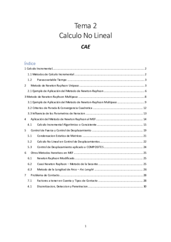 Tema-2-Calculo-No-Lineal.pdf