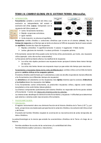 Tema-14.pdf