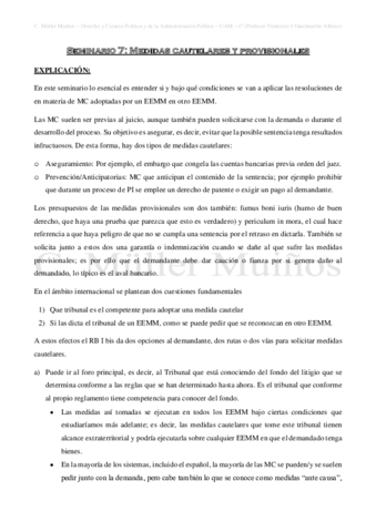 Seminario-7-Medidas-cautelares-y-provisionales.pdf