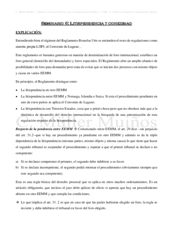 Seminario-6-Litispendencia-y-conexidad.pdf
