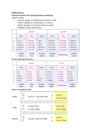 PARTICIPI-GREC.pdf