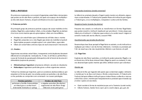 tema 3 platihelmints.pdf