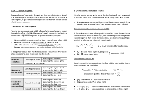 tema 11 cromatografia.pdf
