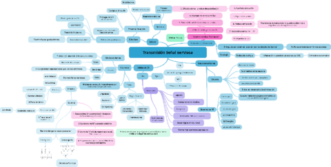 Transmision-Senal-nerviosa.pdf