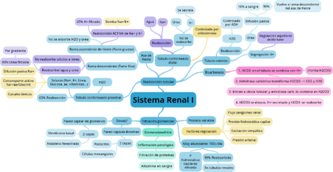 Sistema-Renal.pdf