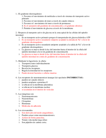 examen respondido.pdf