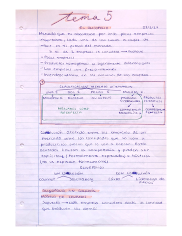 Tema-5-y-Practica.pdf