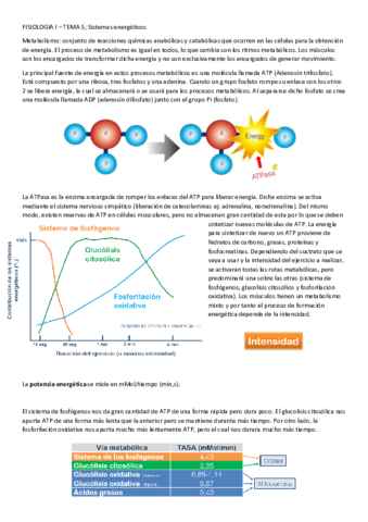 FISIOLOGIA-I-TEMA-5.pdf