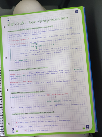 IMG20220502152616.jpg
