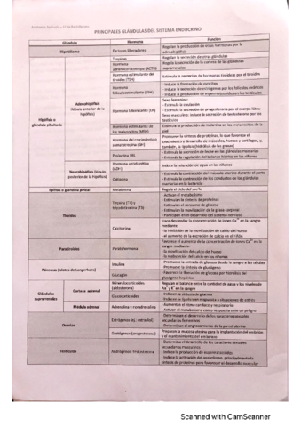 Hormonas-y-glandulas-sistema-endocrino.pdf
