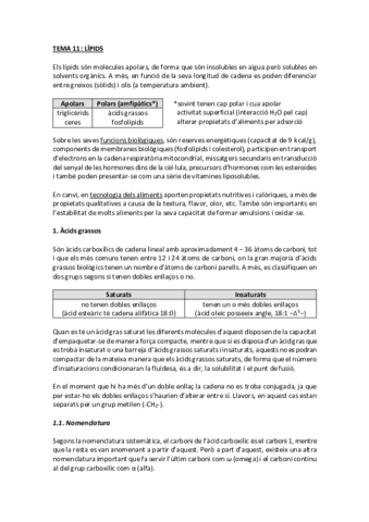 tema 11 lípids.pdf