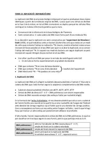 tema 15 replicació i reparació DNA.pdf