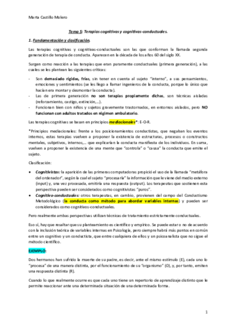 Tema-5-Tecnicas.pdf