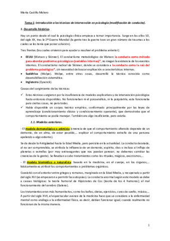 Tema-1-Tecnicas.pdf