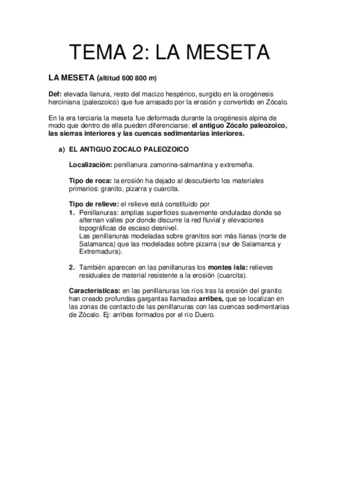 TEMA-2-MESETA-S.pdf