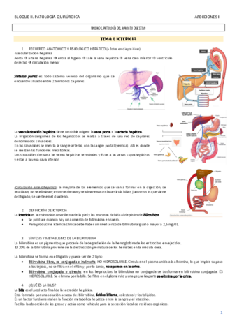 UNIDAD-I-IV.pdf