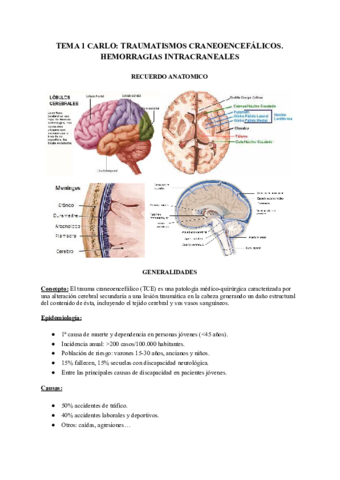 TRAUMATISMOS-CRANEOENCEFALICOS-2.pdf