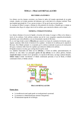 Fracaso-renal-agudo.pdf