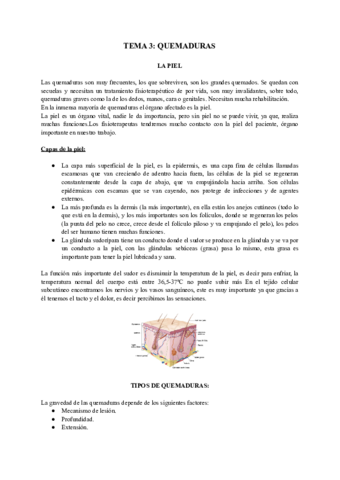 Quemaduras.pdf