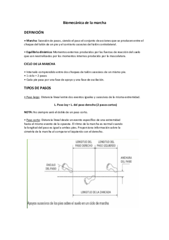 Biomecanica-de-la-marcha.pdf
