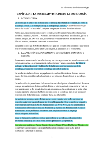 Resumen-Manual.pdf