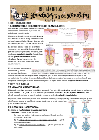 Tema 8 Parte II.pdf